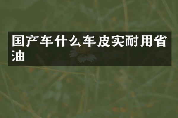 国产车什么车皮实耐用省油