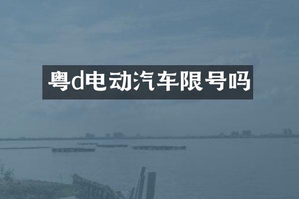 粤d电动汽车限号吗
