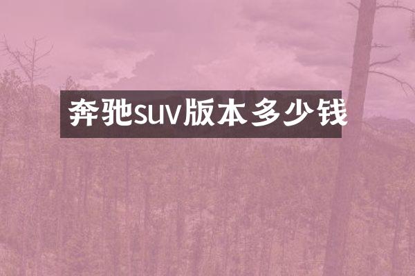 奔驰suv版本多少钱