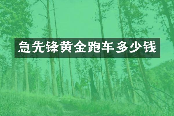 急先锋黄金跑车多少钱
