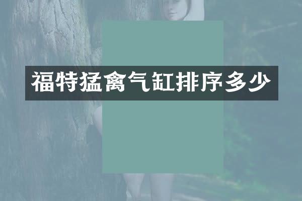 福特猛禽气缸排序多少