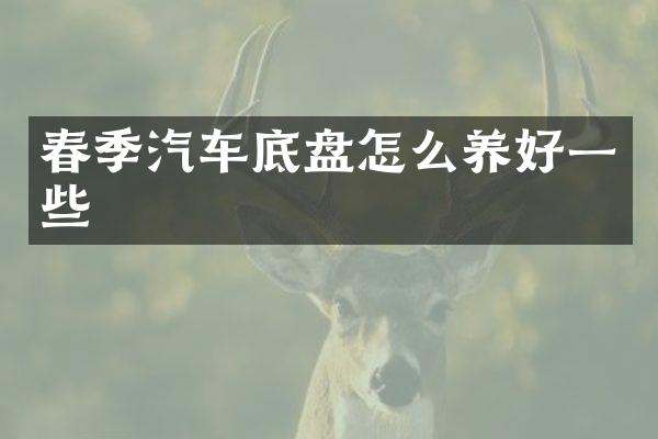 春季汽车底盘怎么养好一些