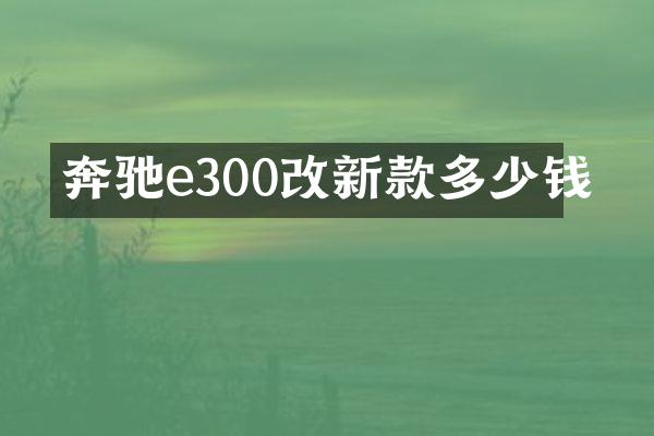 奔驰e300改新款多少钱