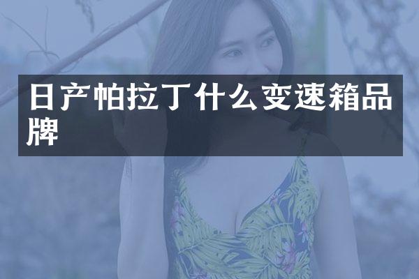 日产帕拉丁什么变速箱品牌