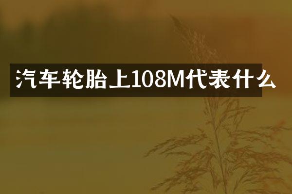 汽车轮胎上108M代表什么