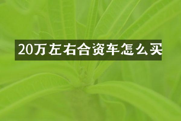 20万左右合资车怎么买