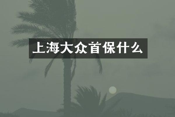 上海大众首保什么