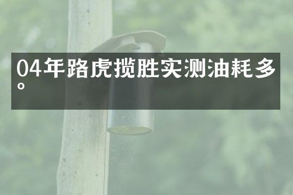 04年路虎揽胜实测油耗多少