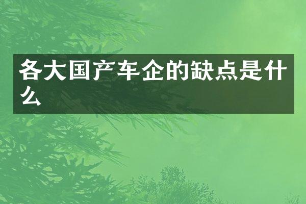 各大国产车企的缺点是什么
