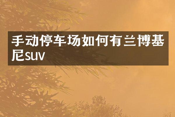 手动停车场如何有兰博基尼suv