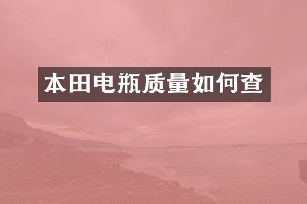 本田电瓶质量如何查