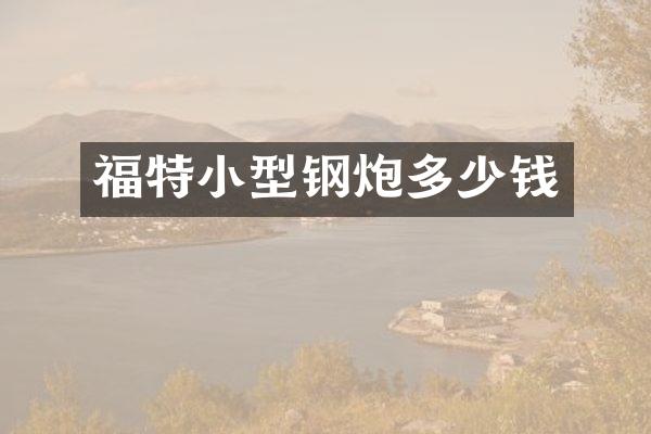 福特小型钢炮多少钱