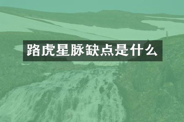 路虎星脉缺点是什么