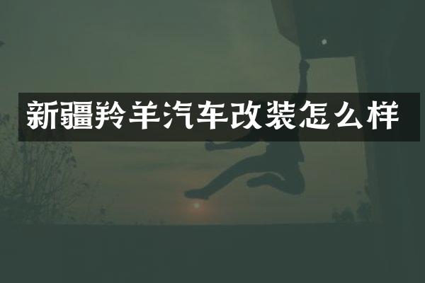 新疆羚羊汽车改装怎么样