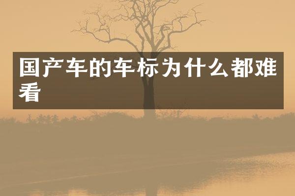 国产车的车标为什么都难看