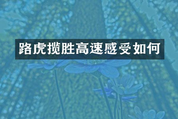 路虎揽胜高速感受如何