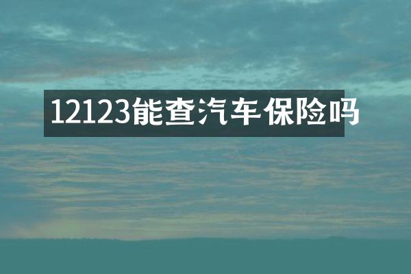 12123能查汽车保险吗