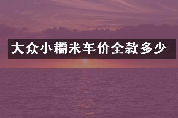 大众小糯米车价全款多少