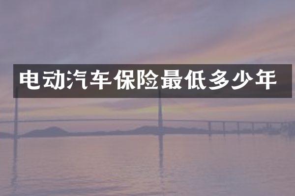 电动汽车保险最低多少年