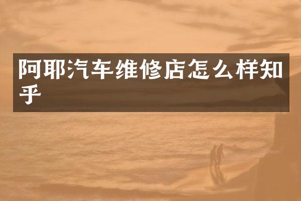 阿耶汽车维修店怎么样知乎