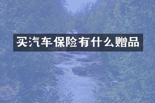 买汽车保险有什么赠品