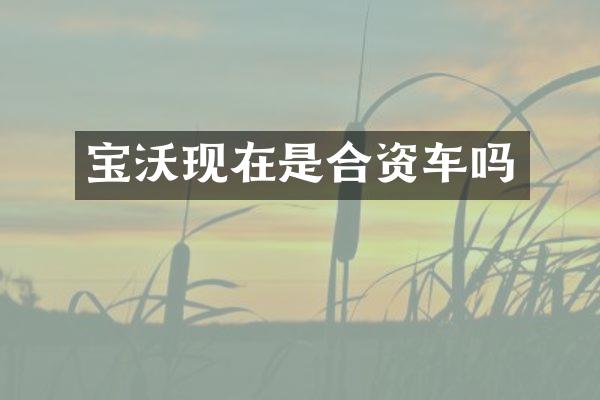 宝沃现在是合资车吗