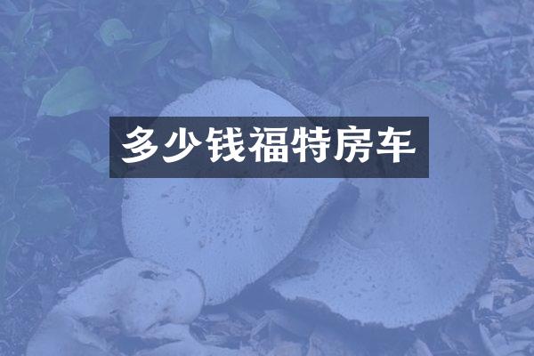 多少钱福特房车