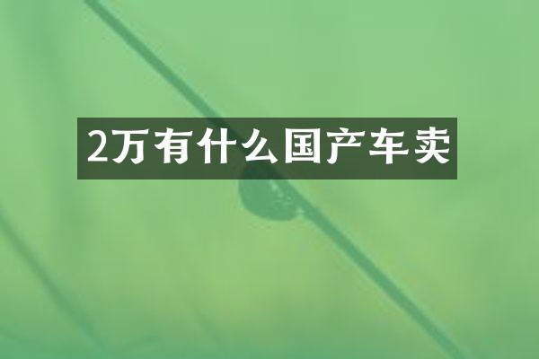 2万有什么国产车卖