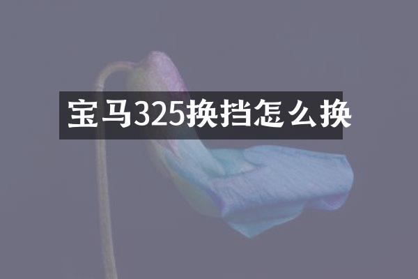 宝马325换挡怎么换