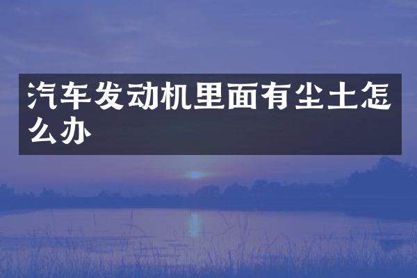 汽车发动机里面有尘土怎么办