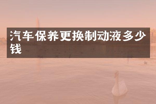 汽车保养更换制动液多少钱