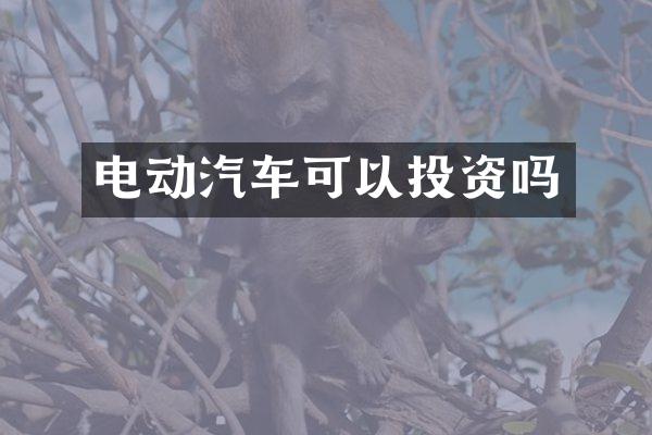 电动汽车可以投资吗