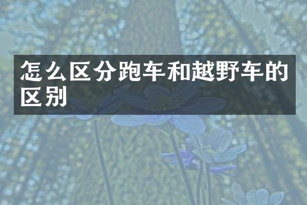 怎么区分跑车和越野车的区别