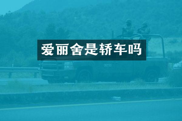 爱丽舍是轿车吗