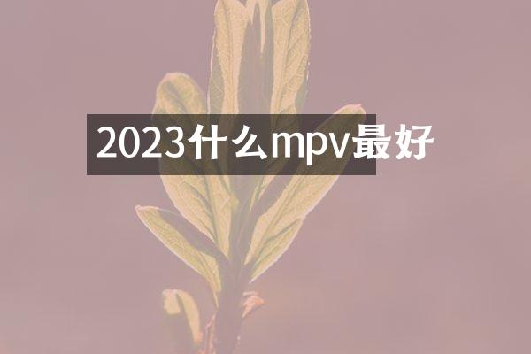 2023什么mpv最好