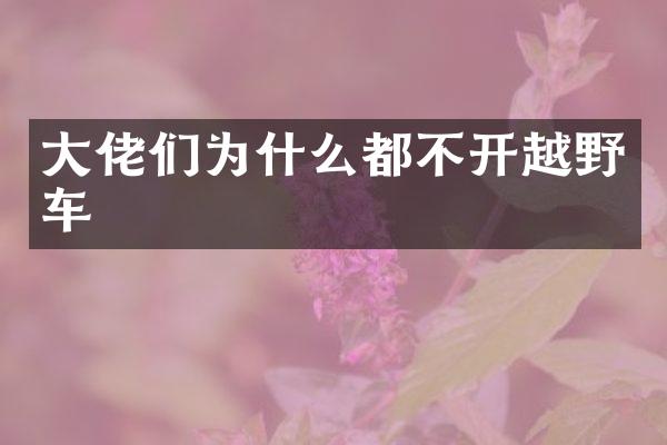 大佬们为什么都不开越野车