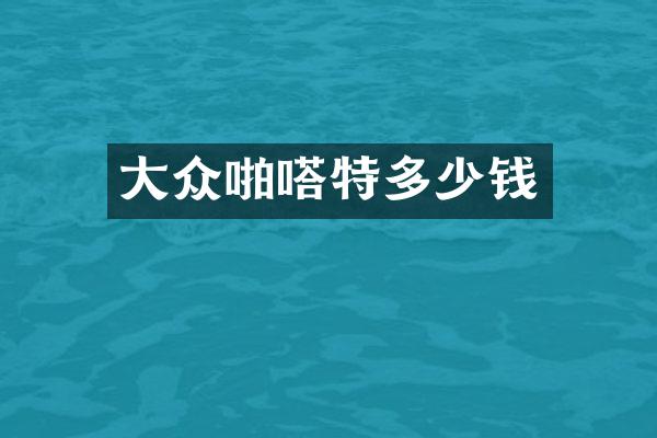 大众啪嗒特多少钱