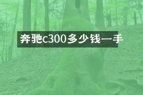 奔驰c300多少钱一手