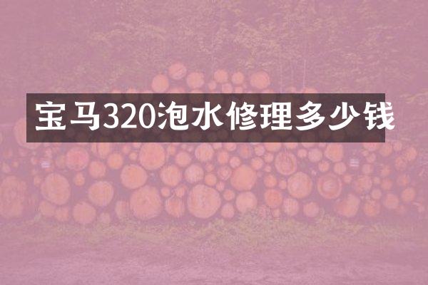 宝马320泡水修理多少钱