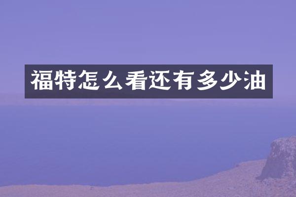 福特怎么看还有多少油
