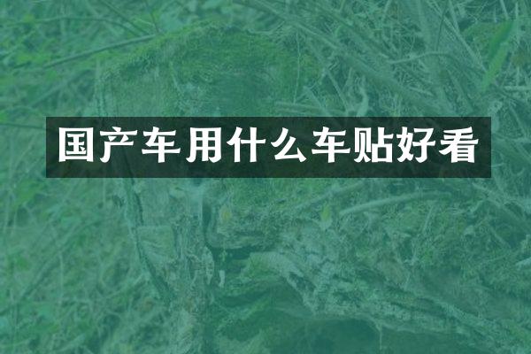 国产车用什么车贴好看