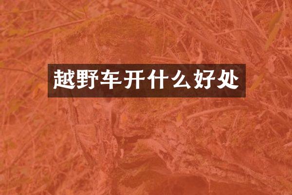 越野车开什么好处