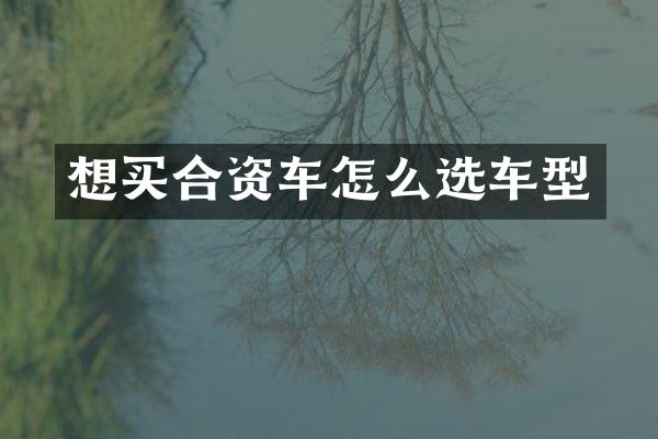 想买合资车怎么选车型