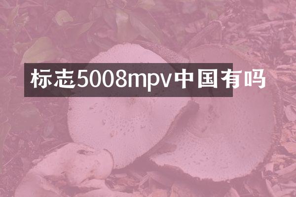 标志5008mpv中国有吗