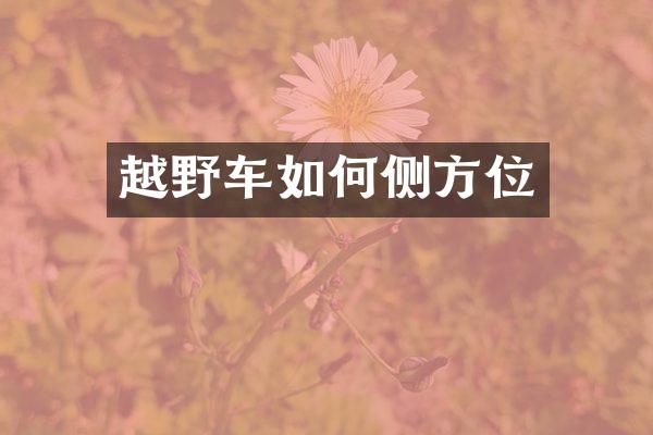 越野车如何侧方位