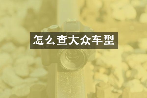 怎么查大众车型
