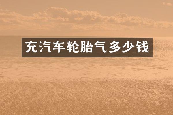 充汽车轮胎气多少钱