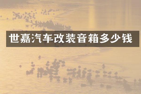 世嘉汽车改装音箱多少钱