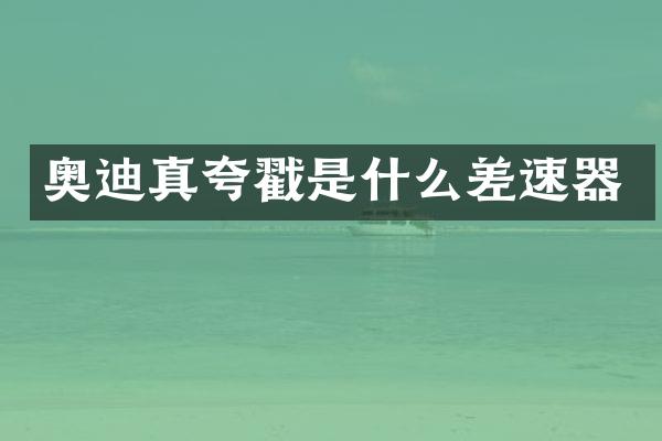 奥迪真夸戳是什么差速器