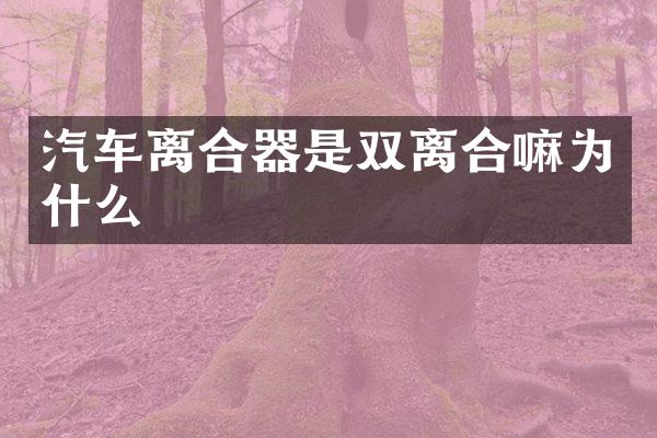 汽车离合器是双离合嘛为什么